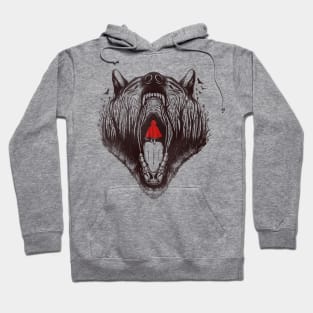 Little red riding hood Hoodie